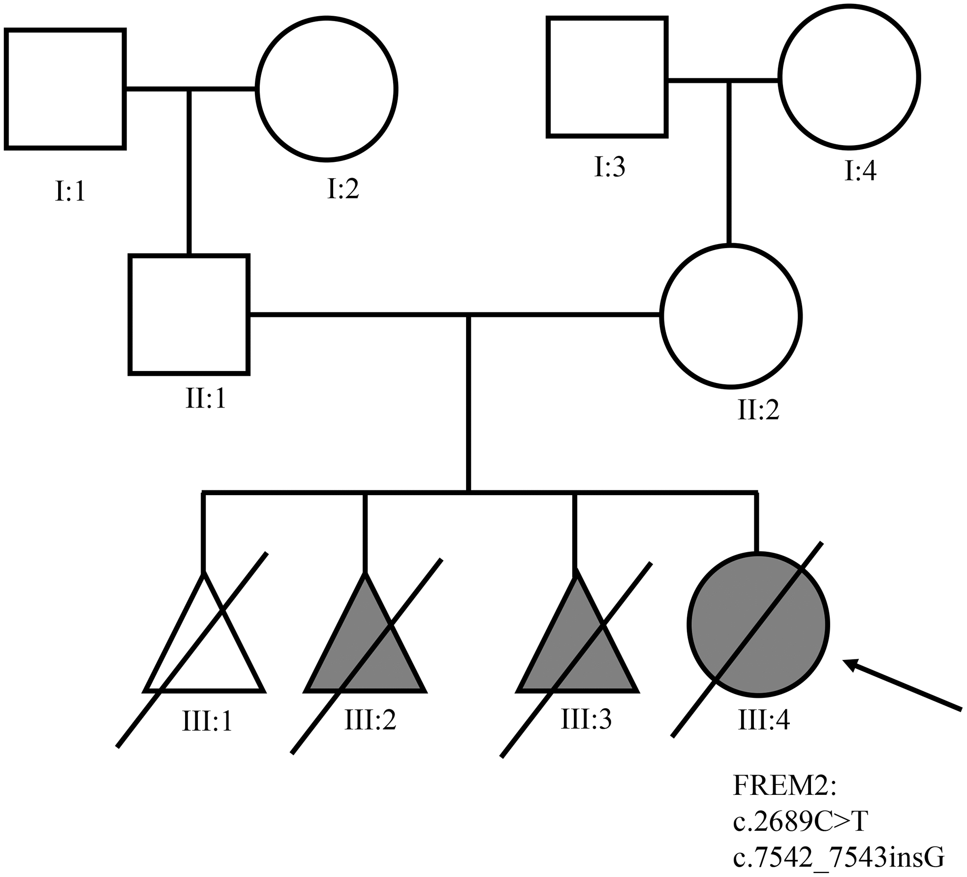 class="figure-viewer-img"