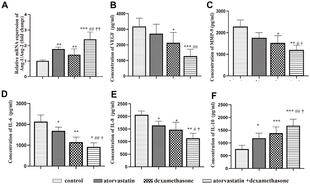 Changes in the expression of inflammatory factors and angiogenic factors in different treatment groups after chronic subdural hematoma modeling. (A) Changes in the Ang-1/Ang-2 mRNA ratio in the hematoma capsule of different treatment group after modeling. (B) Changes in VEGF protein expression in the hematoma capsule of different treatment group after modeling. (C) Changes in MMP-9 protein expression in the hematoma capsule detected by ELISAs of different treatment group after modeling. (D) Changes in IL-6 protein expression in the hematoma capsule detected by ELISAs of different treatment group after modeling. (E) Changes in IL-8 protein expression in the hematoma capsule detected by ELISAs of different treatment group after modeling. (F) Changes in IL-10 protein expression in the hematoma capsule detected by ELISAs of different treatment group after modeling. * p † p†† p