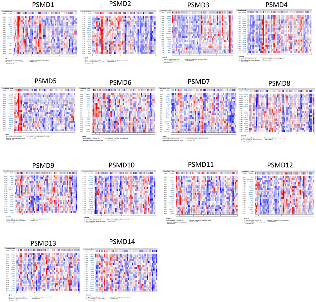 Heatmap co-expression profiles of 26S proteasome delta subunit, non -ATPase (PSMD) family members in breast cancer (BRCA). Genes co-expressed with each of the PSMD family members in term of BRCA patients are presented in a heatmap format (data extracted from the Oncomine database).