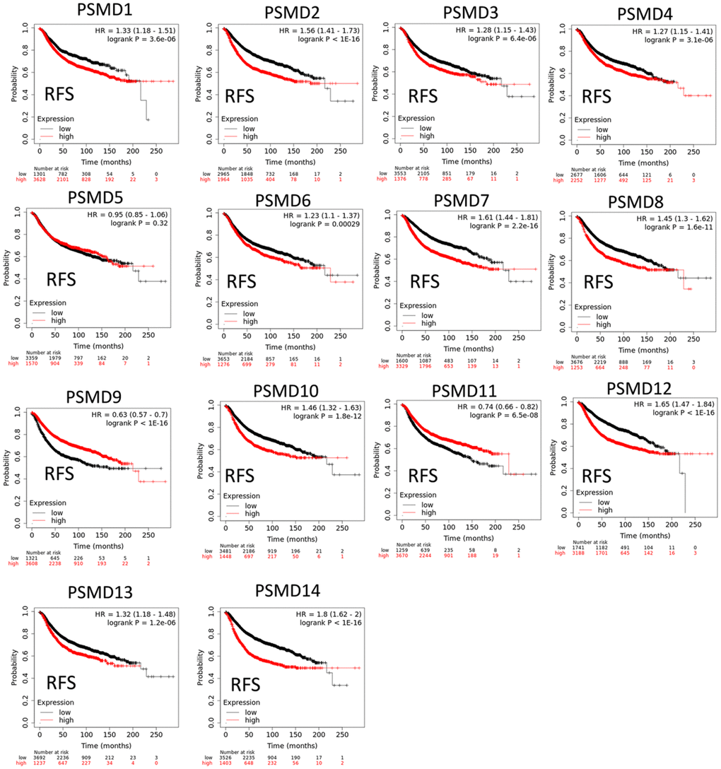 Significant correlations between mRNA levels of 26S proteasome delta subunit, non-ATPase (PSMD) family members and recurrence-free survival curve (RFS) of patients diagnosed with breast cancer (BRCA). The two survival curves respectively illustrate survival outcomes (including survival percentages and survival times) of BRCA patients with high (red) or low (black) expression levels of PSMD family members. Increased mRNA levels of target genes resulted in poor prognoses, while increasing levels of PSMD9 and PSMD11 were associated with favorable outcomes (p