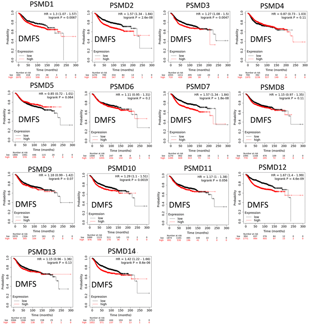 Significant correlations between mRNA levels of 26S proteasome delta subunit, non-ATPase (PSMD) family members, and distant metastasis-free survival (DMFS) curve of patients diagnosed with breast cancer (BRCA). The two survival curves respectively illustrate survival outcomes (including survival percentages and survival times) of BRCA patients with high (red) and low (black) expression levels of PSMD family members. Increased mRNA levels of target genes resulted in poor prognoses, except for PSMD4, PSMD5, PSMD6, PSMD8, PSMD9, PSMD11, and PSMD13 (p