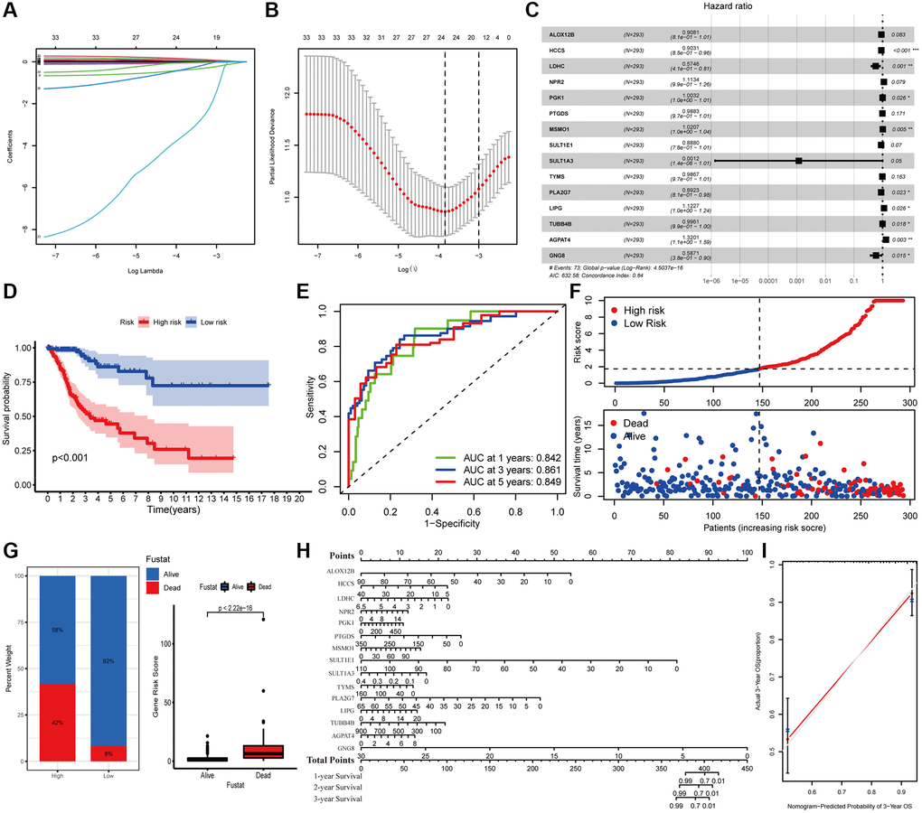 Construction of metabolic gene-associated prognostic model (MGPM) using a series of bioinformatics technology. (A, B) LASSO Cox regression analysis with 5-fold cross-validation and generation of coefficient outline based on the log (lambda) sequence were used to identify the potential independent prognostic risk signature genes. (C) Multivariate Cox regression analysis results show the p values and hazard ratios (HR) with confidence intervals (CI) of the fifteen DEMGs. (D) Kaplan-Meier survival curves show the overall survival (OS) rates of high-risk (n = 146) and low-risk (n = 147) CC patients. Patients in high-risk group had a shorter OS compared to those in low-risk group. (E) ROC curve analysis results show the accuracy and reliability of the MGPM in determining the 1-, 3- and 5-year survival outcomes (AUC values are shown in parentheses). (F) From the top to bottom, the survival status of each patient was sorted according to the low-risk (blue) and high-risk (red) scores. A scatter plot then exhibited the survival status and survival time of patients, the dots represent patients that have died (red) and alive (blue) at the time of analysis. (G) Analysis of the difference in survival status between the low- and high-risk groups. (H, I) The nomogram and calibration plot were employed to depict the expected survival of individual CC patients and to assess the discriminative ability of the MGPM-based risk signature, respectively.