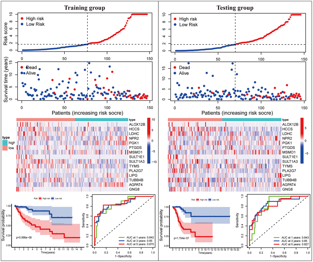 The MGPM comprising fifteen metabolic genes was verified in the training and testing data set. From top to bottom, the ranked dot plot illustrating the predictor-score distribution, a scatter plot presenting the patients’ overall survival status, a heatmap showing the expression profile of the fifteen signature genes of CC patients, Kaplan-Meier survival curves indicating the OS rates of high- and low-risk groups and ROC curve analysis demonstrating the accuracy and reliability of the MGPM in determining survival outcomes.