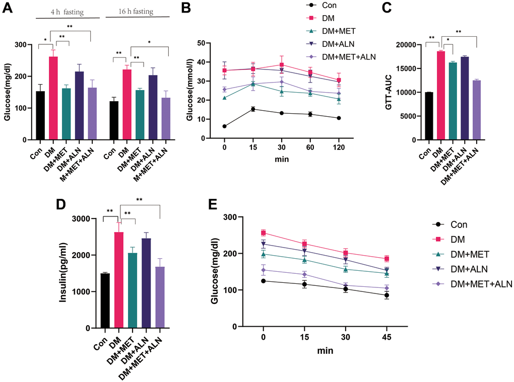 Effect of glucose metabolism in metformin and alendronate in diabetes mice. (A) serum glucose after 4 hour and 16 hours fasting. (B, C). GTT test. (D, E) Serum insulin and Insulin sensitivity.
