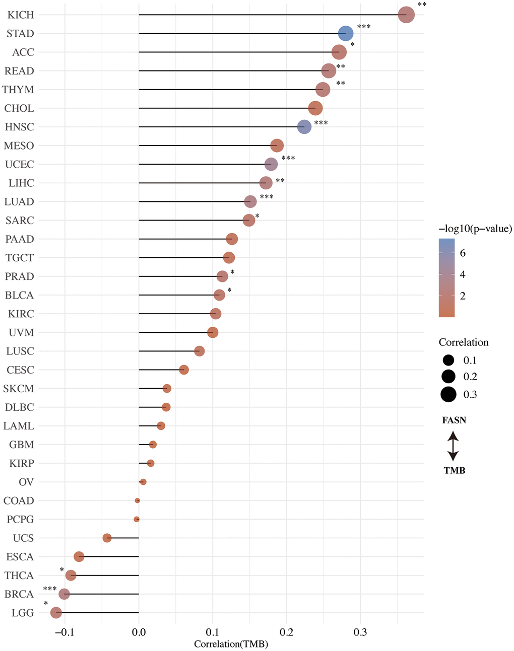 Correlation between FASN expression and tumor mutational burden.