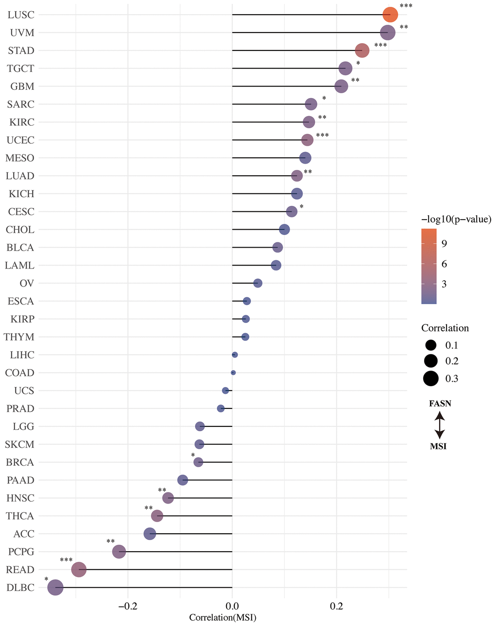 Correlation between FASN expression and microsatellite instability.