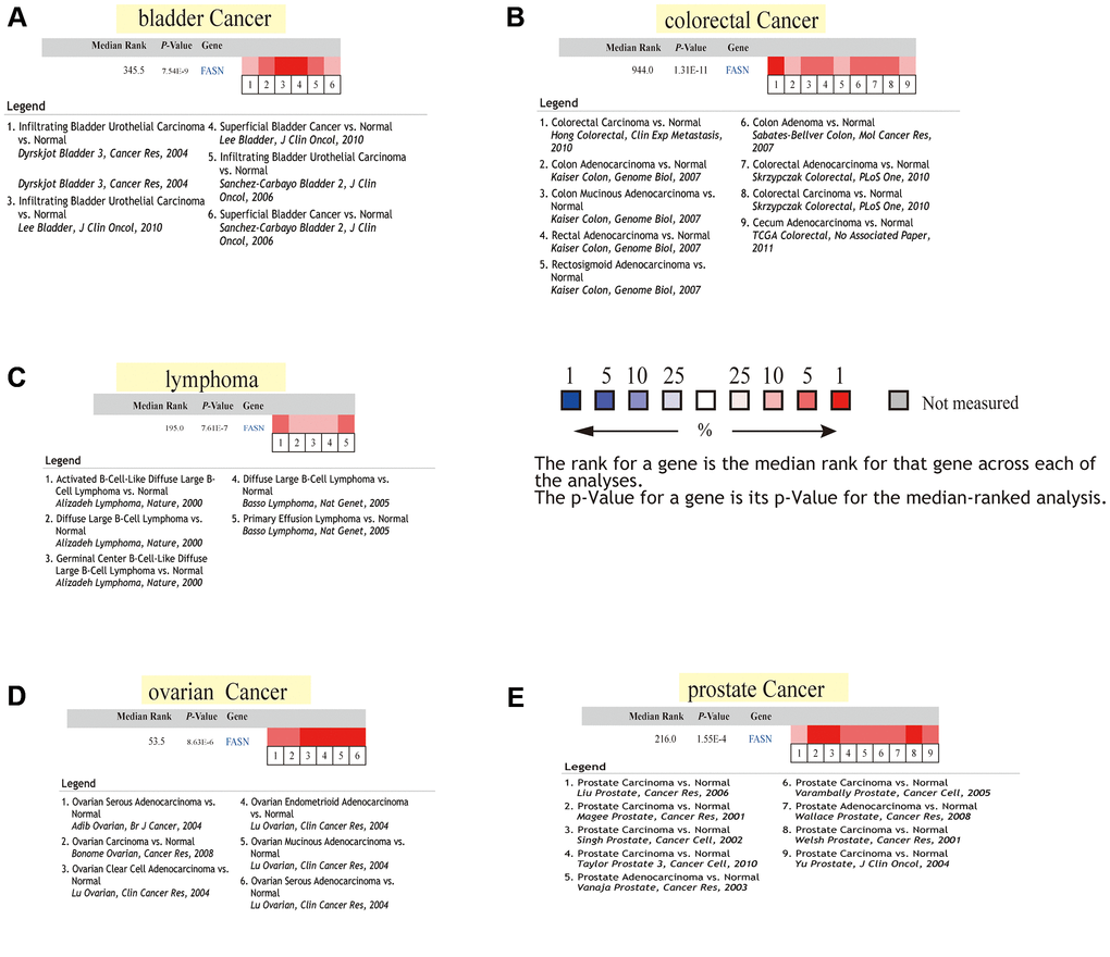 Pooled FASN analysis using normal and tumor tissues. (A) Lung cancer; (B) kidney cancer; (C) colorectal cancer; (D) lymphoma; and (E) myeloma.