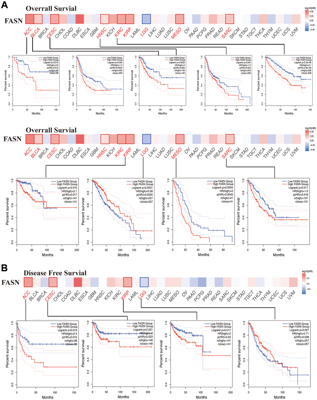 Correlation between FASN gene and the survival outcome of tumors. OS (A) and DFS (B) analyses of various tumors. The survival map and Kaplan-Meier curves with positive results are displayed.