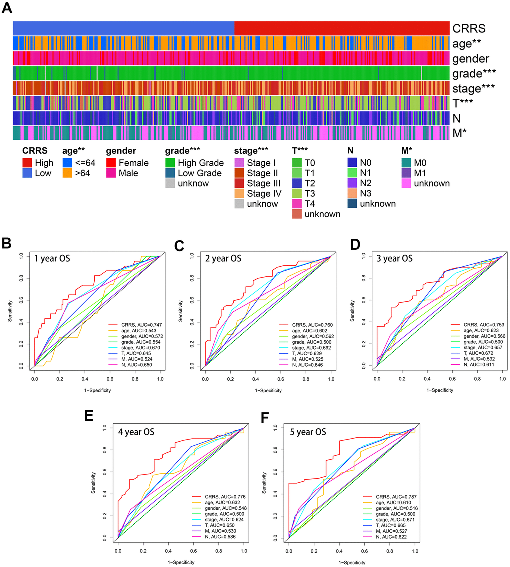 Clinical association of CRRS. (A) The heatmap indicating CRRS was significantly associated with age, gender, tumor grade, tumor stages, pathological T stages, and M stages utilizing Chi-square tests. (B–F). The time-dependent ROC analyses indicated the CRRS showed superiority over other clinical features in predicting the 1- (B), 2- (C), 3- (D), 4- (E), and 5-year (F) overall survival rate. ROC, receiver operating curve; CRRS, circadian rhythm-related score. *, P 