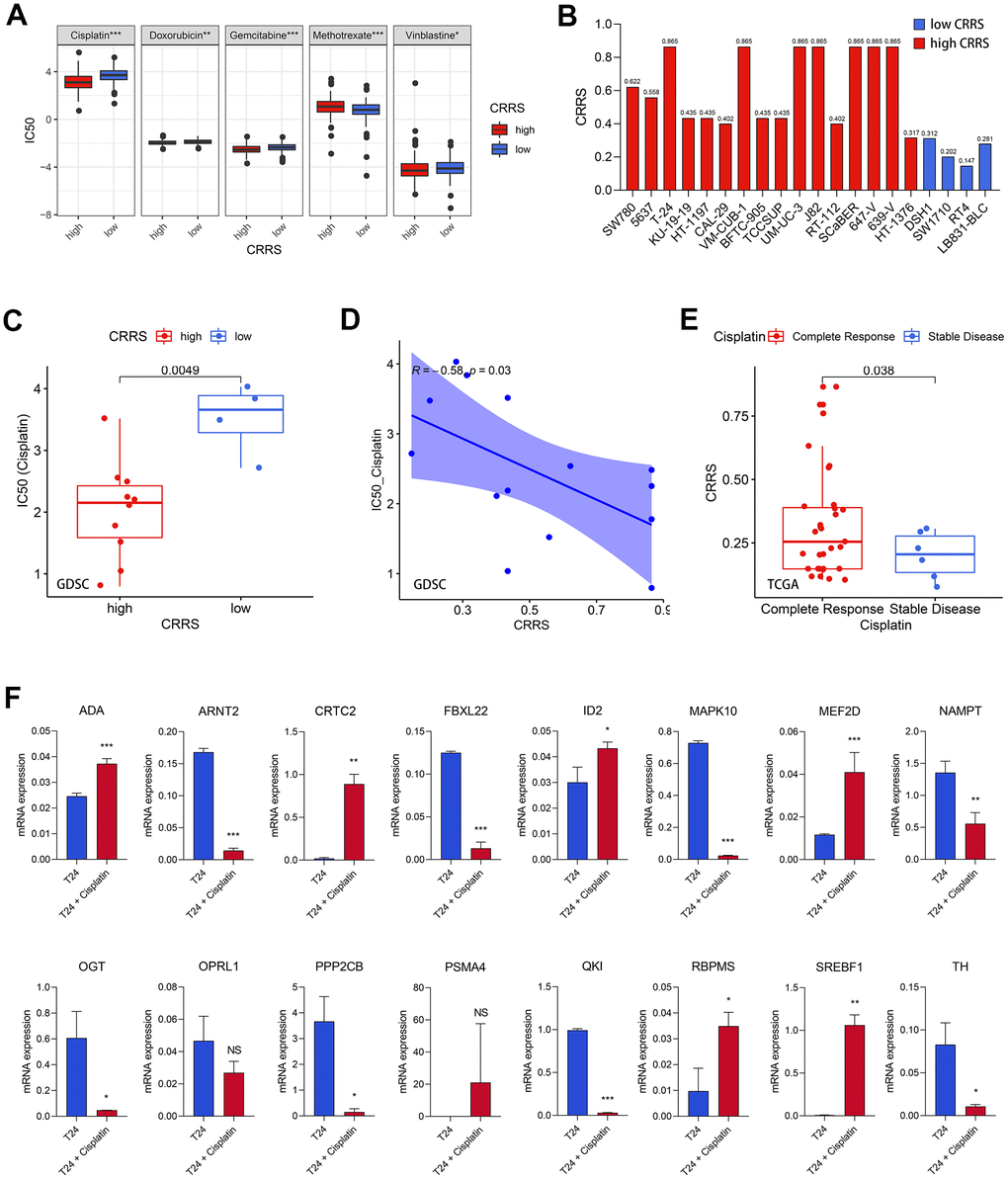 Cisplatin efficacy and CRRS. (A) The patients with high CRRS were more sensitive to cisplatin, doxorubicin, gemcitabine, and vinblastine, while the CRRS was positively associated with the sensitivity of methotrexate. (B) The evaluated CRRS and risk stratification of 20 BCa cell lines. (C) The cell lines with low CRRS exhibited high IC50 values via Wilcoxon signed-rank test. (D) The Spearman correlation analysis between CRRS and IC50 values among 20 BCa cell lines. (E) The patients with complete response had higher CRRS than those with stable disease. (F) The mRNA expression of the 16 CRRS genes after the treatment with 20μM cisplatin in T24 cells. CRRS, circadian rhythm-related score; IC50, half inhibitory concentration; BCa, bladder cancer.