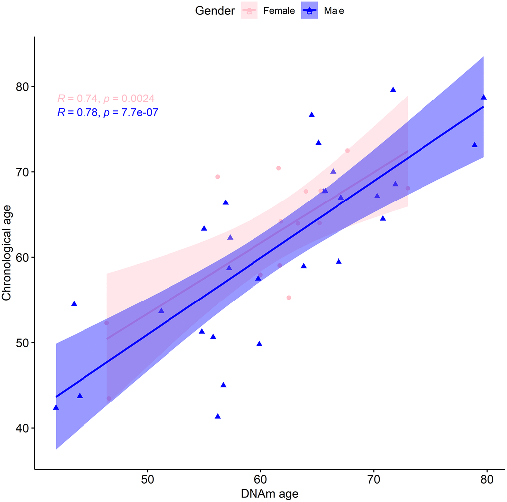 TruAge age estimation and baseline chronological age are linearly correlated, in both genders. The x-axis depicts DNA methylation age estimated by TruAge, and the y-axis the chronological age of the 42 patients at baseline. The pink and blue linear correlation plots depict the similarly high statistically significant linear correlation between both axes, for female and male patients, respectively.