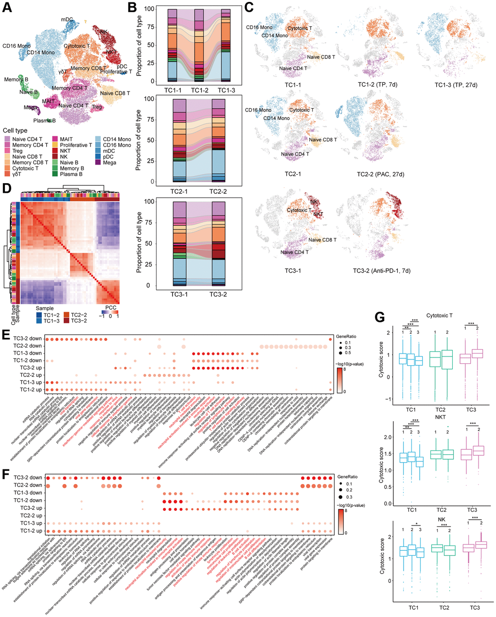 Compositional and functional changes of cells pre- and post-treatment in COVID-19 patients with tumor. (A) t-SNE plot of cells colored by cell types identified from COVID-19 patients with tumor pre- and post-treatment. (B) Proportion of each cell type in each person before and after treatment. Bars are colored by cell types. (C) t-SNE plot of cells in each person at different time point before and after treatment. (D) Hierarchical clustering using the Pearson Correlation Coefficient (PCC) of a normalized transcriptome change between post- and pre-treatment in lymphocytes at cell type resolution. The color intensity indicates the PCC and the color bars above the heatmap indicate the cell type and disease group. (E, F) Enriched GO pathways of COVID-19 patients with tumor after treatment in T (E) and B (F) cells (top 4 columns: downregulated GO pathways after treatment, bottom 4 columns: upregulated GO pathways after treatment). The color intensity indicates the enrichment p-values and the point size indicates the ratio of gene enrich in each pathway. (G) Box plot of cytotoxic scores for each patient in cytotoxic T, NKT and NK cells. *p **p ***p 