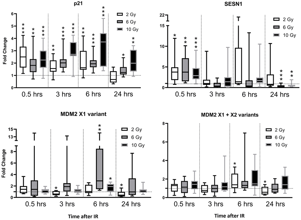 Gene expression changes (mRNA level) in murine hair follicles after in vivo ionizing irradiation. Data are expressed in boxplot graphs showing median, first quartile data distribution and maximum and minimum values of fold changes relative to expression at time zero (immediately before irradiation) normalized using HPRT mRNA levels. Results of paired t-tests of the significance of differences between indicated groups and times (relative to the zero-time point) are also depicted (*p