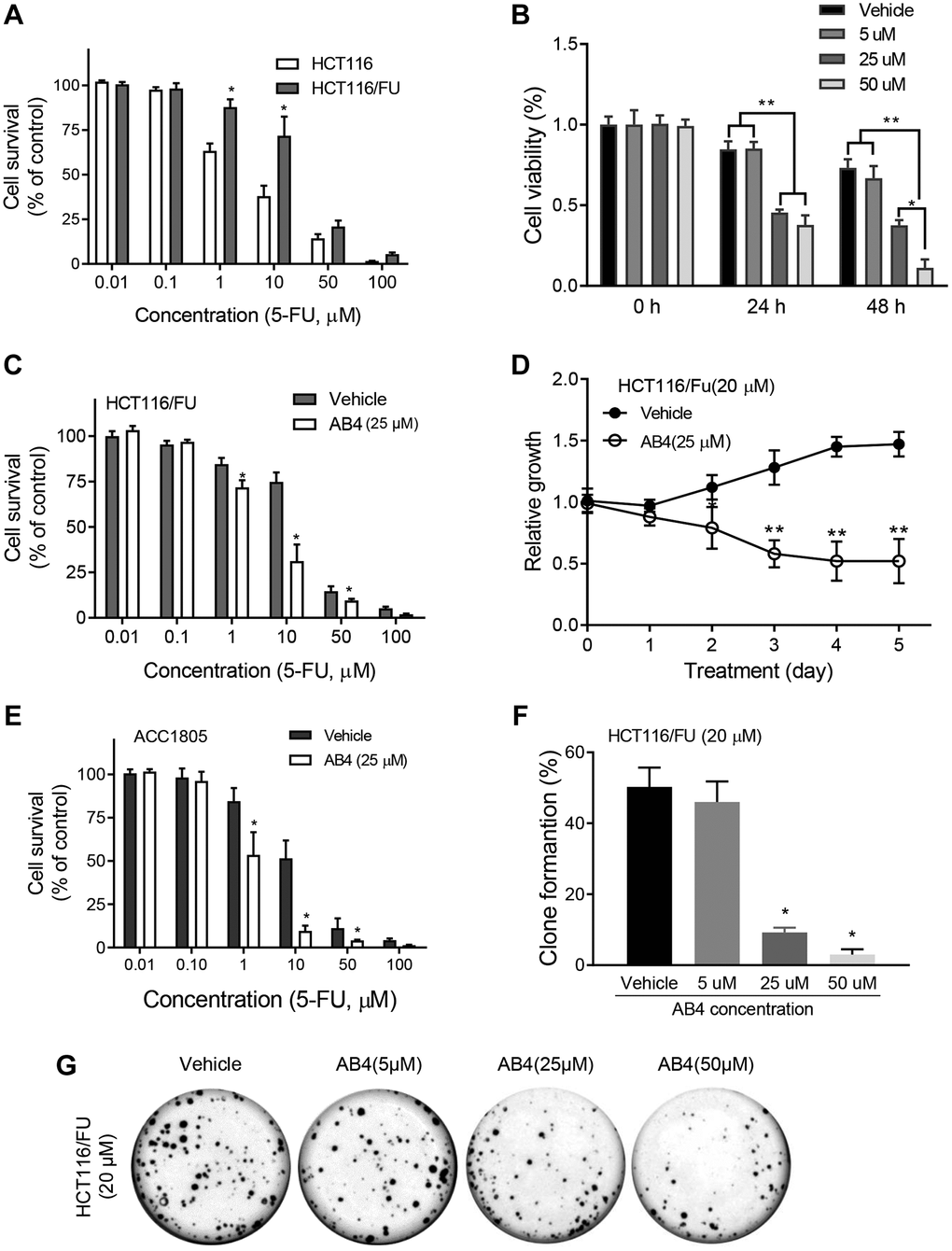 AB4 sensitizes colorectal cancer cells to 5-FU treatment in vitro. (A) HCT116 and HCT116/FU cells were treated with a gradient concentration of 5-FU (0–100 μM), which showed increased cell survival of HCT116/FU cells than parental cells. (B) HCT116/FU cells were treated with 5-FU (20 μM) and different concentration of AB4 (5–50 μM) for 24 or 48 hours. Cell viability was measured by MTT assays. (C, E) HCT116/FU and ACC1805 cells were treated with 25 μM AB4 and a gradient of 5-FU for 48 h. The cell proliferation was analyzed. (D) HCT116/FU cells were treated with AB4 (25 μM) and/ or 5-FU (20 μM) for 5 days. Cell proliferation was examined with MTT assay. (F, G) Colony formation assays were performed with HCT116/FU cells, which showed reduced number of colonies in AB4 treated group (≥25 μM) than vehicle or 5 μM AB4 treated groups. These results represent the average of three independent experiments. Data are shown as means ± SEM. *P 
