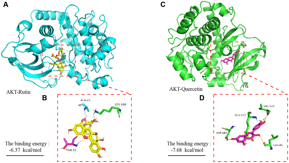 Aging Tartary buckwheat flavonoids relieve the tendency of mammary
