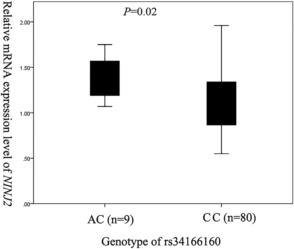 Assessment of the relationship between NINJ2 SNP rs34166160 and the expression level of NINJ2 mRNA by real-time RT-PCR analysis. Total RNA samples were isolated from blood samples (lymphocytes) of 9 subjects with an AC genotype and 80 subjects with a CC genotype. Real-time PCR analysis was used to analyze the relative expression level of NINJ2. A linear regression was used to compare the differences in the mean RQ values between different genotypes (AC and CC) of SNP rs34166160.