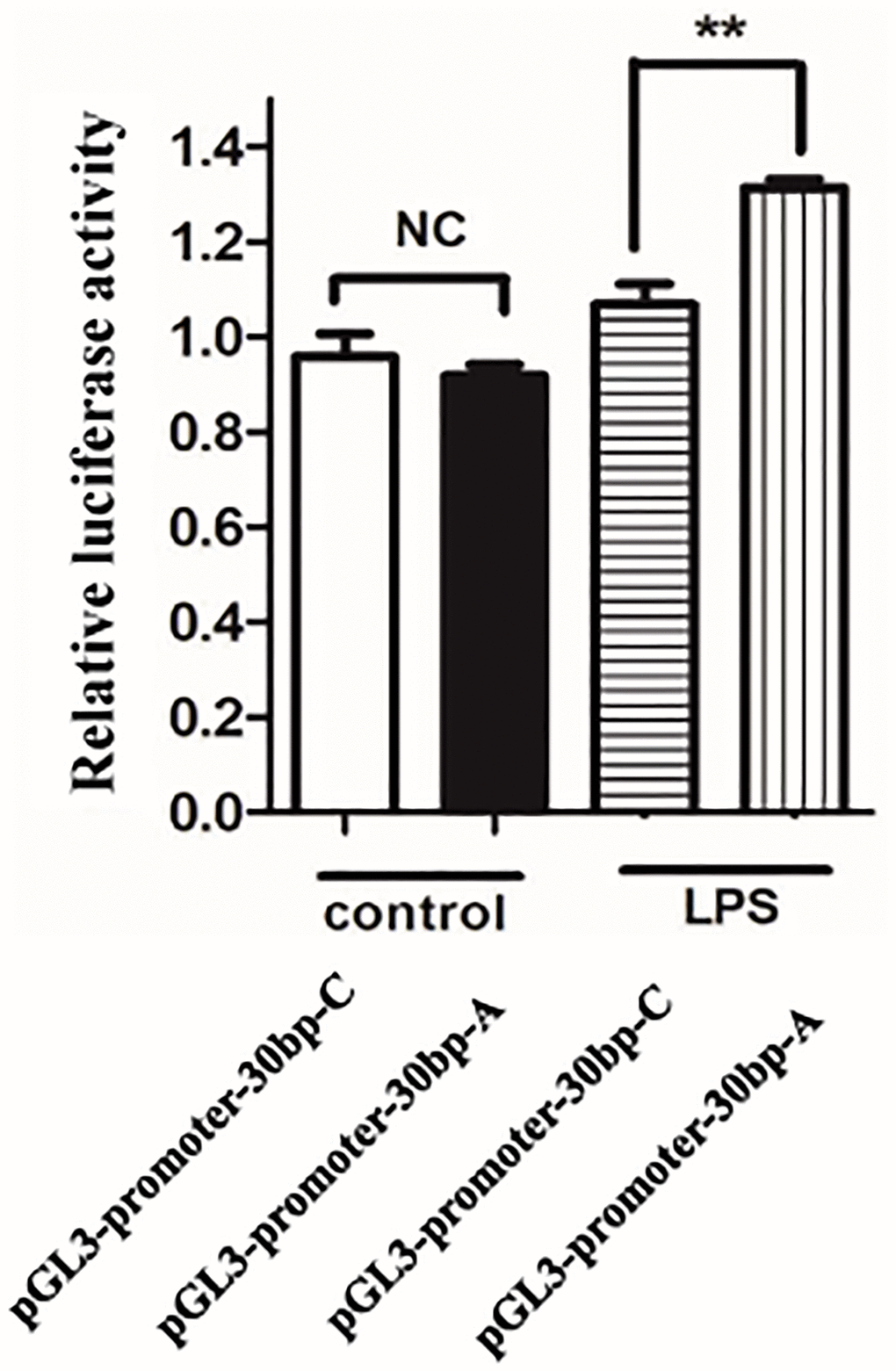 The risk allele A of rs34166160 has a higher transcriptional activity under the condition of LPS stimuli. Data from luciferase assays in HUVECs. The PGL-3-promoter luciferase vectors containing the 30 bp length genomic fragment overlapping rs34166160 harboring risk A allele or wide type C allele were transfect into HUVECs for 24 h, and then LPS (1 ug/ml) stimulated for another 24 h. The measurement of luciferase activities was previously described. Three independent experiments were performed. Error bars represent standard deviation (SD). *P 