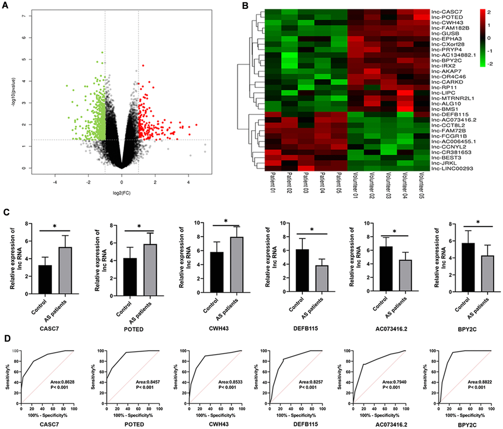 Differential expression profile of lncRNAs between AS and healthy patients. (A) The differential genes are represented by volcano plots. Gray points are genes with P values ≥ 0.05. Green point are genes with absolute fold changes ≥ 2 and P values P values B) A heatmap showing differentially expressed lncRNAs. Green and red colors stand for down-regulation and up-regulation, respectively. (C) qRT-PCR was performed to detect the expression of lncRNAs in AS serum. (D) An ROC analysis of lncRNAs expression to differentiate between AS and healthy controls. Results are expressed as mean ± SD. *P 