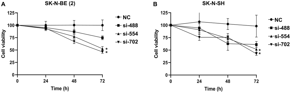 The cell viability of NB transfected with YTHDC1 siRNAs were measured by CCK-8 assay. (A) The cell viability of SK-N-BE (2) transfected with YTHDC1 siRNAs at 24 h, 48 h, 72 h. (B) The SK-N-SH cell viability transfected with YTHDC1 siRNAs. Data were represented as the means ± SD. *P 