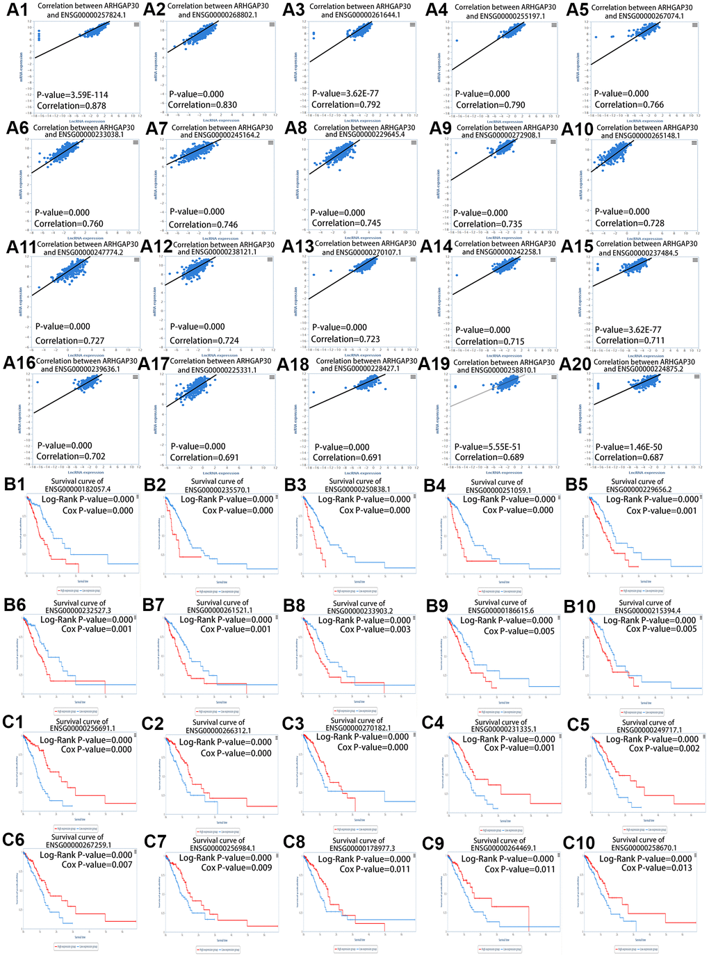 LncRNAs correlated highly with ARHGAP30 in lung adenocarcinoma (LUAD). (A1–A20) Scatter plots of lncRNAs that are positively associated with ARHGAP30 in LUAD. (B1–B10) ARHGAP30 correlated lncRNAs, in which low expression has a better prognosis according to the survival curve of the lncRNAs. (C1–C10) ARHGAP30 correlated lncRNAs, in which high expression has a better prognosis according to the survival curve of lncRNAs.