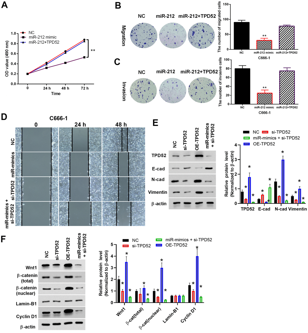 BSA-Seq and Fine Linkage Mapping for the Identification of a