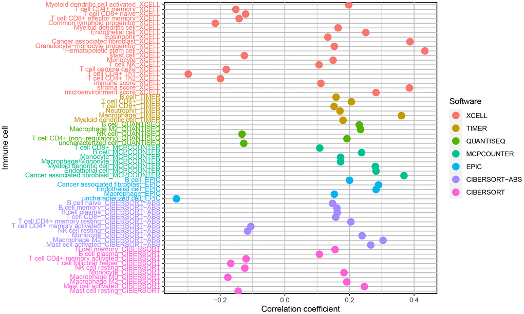 Correlations of the risk model (RiskScore) based on nine autophagy-related lncRNA pairs with tumor-infiltrating immune cell landscape.