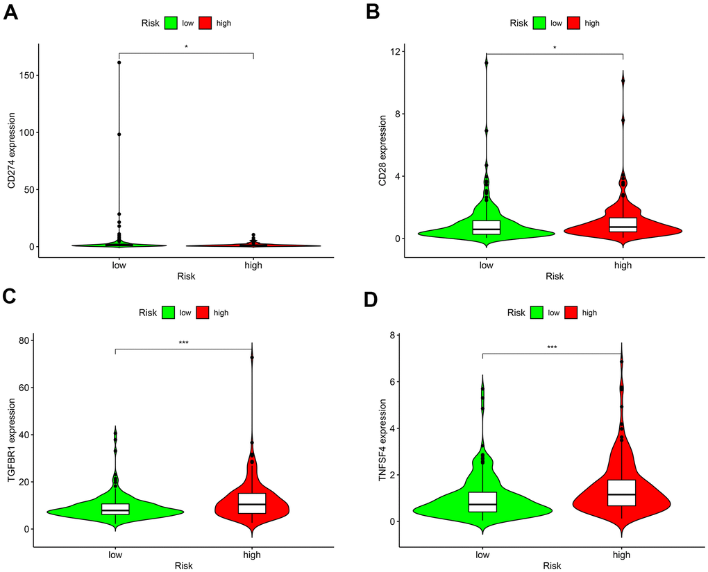 Differences in the expressions of marker genes for immune checkpoint inhibitors between low- and high-risk patients. (A) CD274 (PD-L1); (B) CD28; (C) TGFBR1; (D) TNFSF4 (OX40L). *P P P 