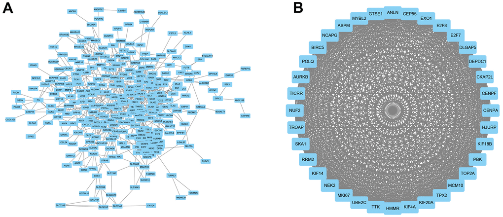 PPI network construction. (A) A PPI network was constructed using Cytoscape. (B) The most significant module was using MCODE of Cytoscape.
