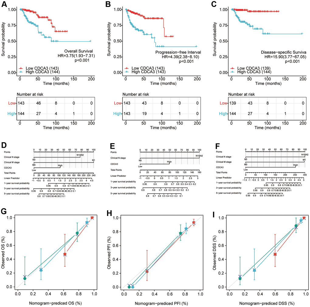 Survival analyses. (A–C)The prognostic value of CDCA3 with OS, PFI, DSS. (D–F) The nomogram of CDCA3 with OS, PFI, DSS. (G–I) The calibration curve of N stage (green), M stage (blue) and CDCA3 (red) with OS, PFI, DSS.