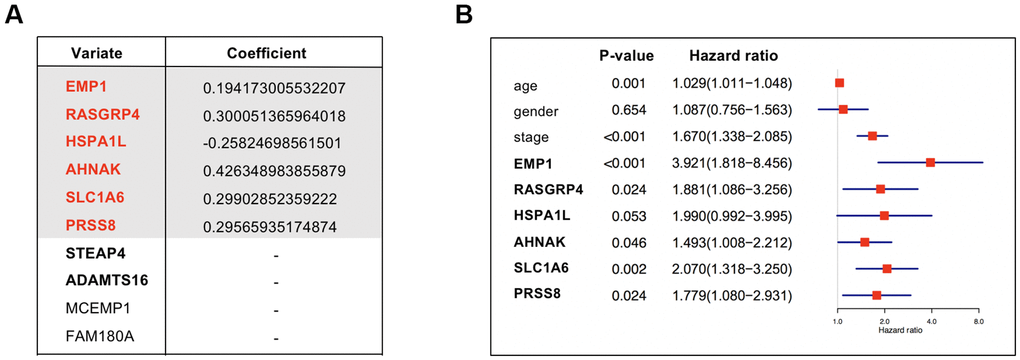 (A) Coefficients of the 6 covariates included in the Cox’s proportional hazards regression model. The table listed all the 10 genes with prognostic prediction value for bladder cancer according to univariate Cox regression analysis (P B) The forest plot showing the prognostic value of the 6 genes. Multivariate Cox regression analysis considering gene expression levels as well as several clinicopathologic features was conducted to see if a gene was an independent prognostic factor for BUC.