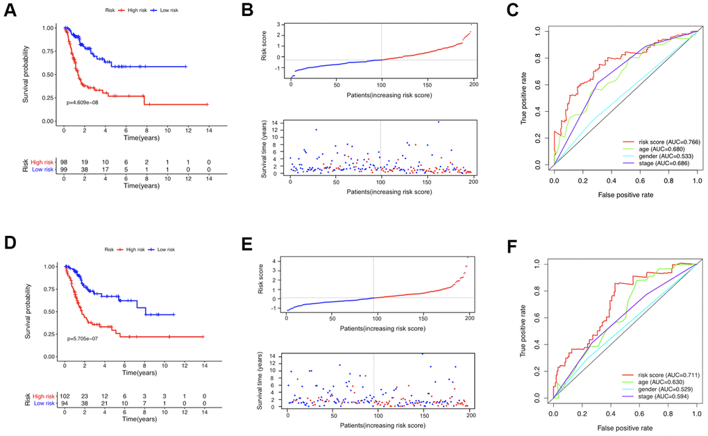 The prognostic value of the identified model in the TCGA training (A–C) and testing (D–F) sets. (A, D) Comparison of the overall survival curves between the high-risk and low-risk patients. (B, E) The distribution of survival status of patients with increasing risk scores; the red and blue dots represented being dead and alive, respectively. (C, F) The receiver operating characteristic (ROC) curves evaluating the prognostic values of several factors including the calculated risk score, age, gender, and disease stage.