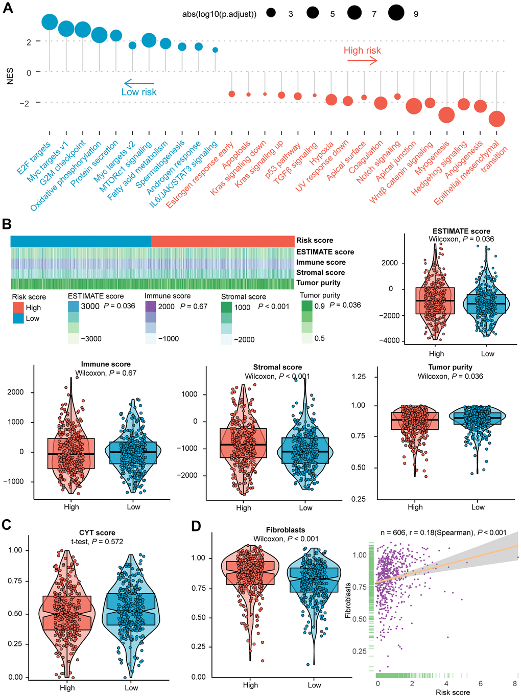 Evaluation of the role of IRGs-based risk score in the training cohort. (A) Results of GSEA of the high-risk group (red) compared with the low-risk group (blue). Color toward gray represents no statistical significance. (B) Heatmap and violin plots of the ESTIMATE score, immune score, stromal score, tumor purity between high- and low- risk subtypes. (C) Violin plot of the CYT score between high- and low- risk subtypes. (D) Violin plot of fibroblasts between two subtypes, and the association between risk score and the NES of fibroblasts. Statistical significance at the level of ns ≥ 0.05, * 