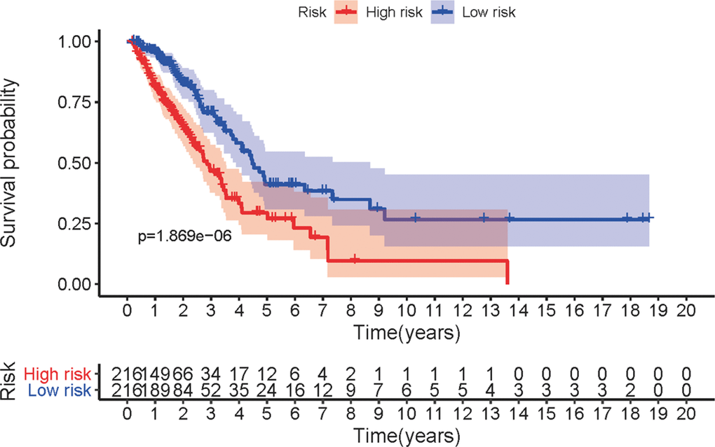 Survival curve of LUAC patients. Kaplan-Meier survival curve of OS in high-risk group and low-risk group. The results showed that the high-risk group have the poor prognosis.