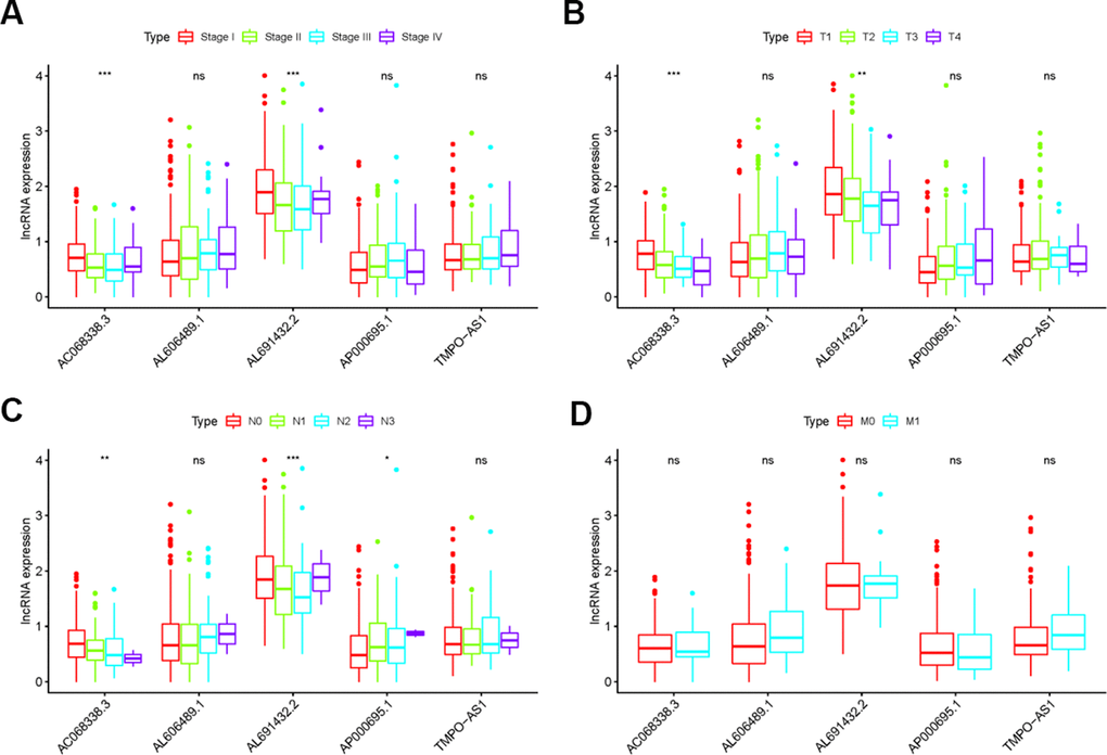 The relationships between the sIRLNRs and clinical features. Relationships between sIRLNRs (AC068338.3, AL691432.2, AL606489.1, TMPO-AS1 and AP000695.1) and clinical features. The expression levels of AL606489.1, TMPO-AS1 and AP000695.1 were increased in the more advanced stages (A) and T-stages (B), while the expression levels of AC068338.3 and AL691432.2 were gradually decreased. The expression levels of AC068338.3 and AL691432.2 were decreased in the more advanced N-stages (C), while the expression levels of AP000695.1 were increased. There was no significant difference in various M-stages. (D) (***P  0.05).