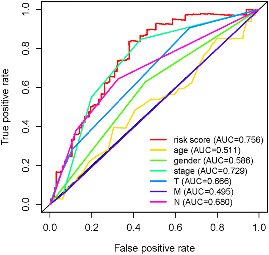 Receiver operating characteristic (ROC) curve. The prognostic value of the independent prognostic factors was indicated by ROC curves.