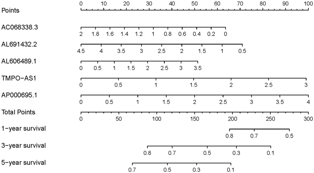 Nomogram of LUAC patients. Nomogram was used to predict 1, 3, and 5-year survival rates for LUAC patients.