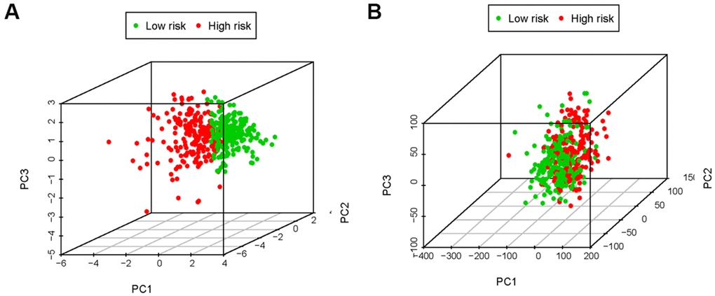 The principal components analysis (PCA). The high-risk group and low-risk group tended to express different immune status. PCA among high-risk group and low-risk group based on the immune-related risk gene sets (A). PCA among high-risk group and low-risk group based on the genome-wide expression sets (B). The results showed that the high-risk group and low-risk group were divided into two parts in immune-related risk gene sets.