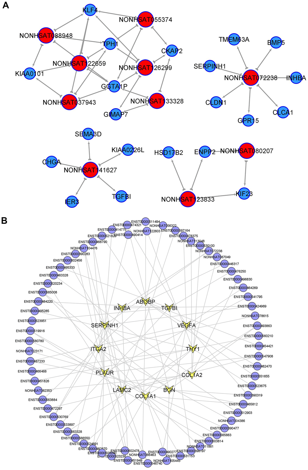 Key lncRNAs in CRC tumorigenesis and EMT-related lncRNAs. (A) lncRNA-mRNA network in CRC tumorigenesis. Top10 selected lncRNAs and 21 mRNAs were included in this network. (B) PT related lncRNAs involved in EMT (epithelial mesenchymal transition) signaling pathway.