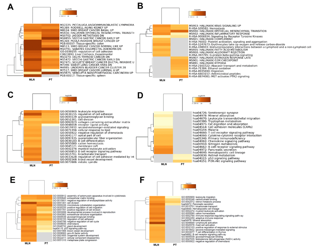Functional comparison of lncRNAs and mRNAs: CRC tumorigenesis versus CRC metastasis. Functional comparison analysis of lncRNAs: (A) Heatmap cluster analysis of enriched ontology terms (top 10). (B) Heatmap cluster analysis of reactome gene sets and hallmark gene set enrichment (top 10). (C) Heatmap cluster analysis of GO enrichment (top 10). (D) Heatmap cluster analysis of KEGG pathway (top 10). Functional comparison of upregulated (E) and downregulated (F) mRNAs in CRC tumorigenesis and metastasis using heatmap cluster analysis of enriched ontology terms and KEGG pathway.