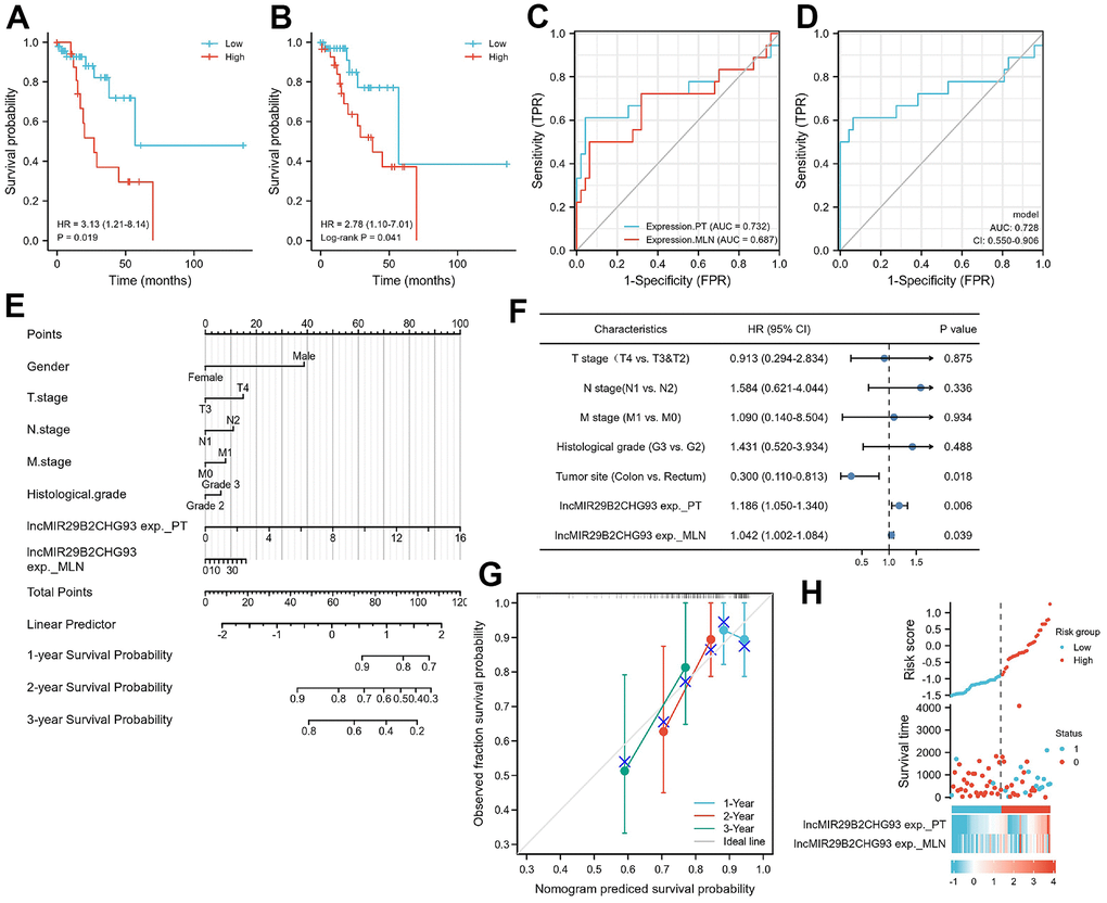 Prognostic model based on lncRNA MIR29B2CHG expression in CRC patients. Kaplan–Meier analysis of Disease-free survival(DFS) of CRC patients based on lncRNA MIR29B2CHG expression in primary tumor tissue (A) and in lymphnodal metastasis tumor tissue (B). Data are shown as hazard ratios (95% CI). (C) Time-dependent ROC curve for assessing the prognostic accuracy of CRC patients by the lncRNA MIR29B2CHG expression in primary tumor and lymphnodal metastasis tumor tissue, separately. (D) Time-dependent ROC curve for assessing the prognostic accuracy of CRC patients by the joint expression of lncRNA MIR29B2CHG in both primary tumor and lymphnodal metastasis tumor tissue. Data are shown as AUC (95% CI). ROC = receiver operator characteristic. AUC = area under the curve. (E) The nomogram was utilized by adding up of the points identified on the points scale for each variant. The total points occurred on the bottom scales represent the probability of 1-, 2- and 3-year survival. (F) Univariate analysis was performed in CRC cohort. The bar corresponds to 95% confidence intervals. (G) The calibration curve based on the expression of lncRNA MIR29B2CHG in primary tumor and lymphnodal metastasis tumor tissue for predicting DFS at 1-, 2- and 3-years in CRC cohort. (H) The distribution of risk score of the established prognostic model by lncRNA MIR29B2CHG expression.
