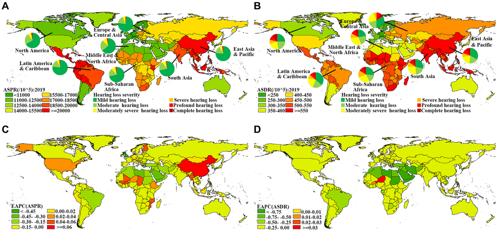 Global distribution of ASRs and the corresponding EAPCs in age-related hearing loss. (A) ASPR in 2019; (B) ASDR in 2019; (C) EAPC of ASPR from 1990 to 2019; (D) EAPC of ASDR from 1990 to 2019. Abbreviations: ASR: age-standardized rate; EAPC: estimated annual percentage change; ASPR: age-standardized prevalence rate; ASDR: age-standardized DALY rate; DALY: disability-adjusted life year.