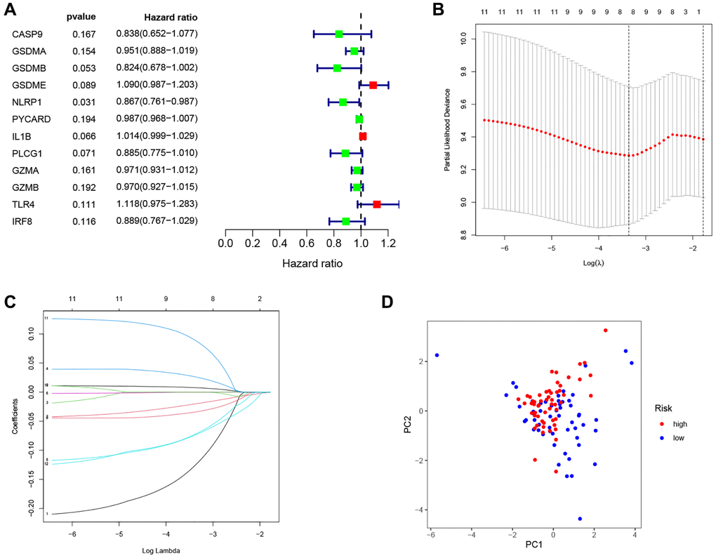 Construction of the PRG-based signature for LSCC patients. (A) The prognostic PRGs using univariate Cox regression analysis (P B) Optimal parameter (λ) selected in the LASSO Cox regression model based on the minimum criteria. (C) The LASSO coefficient of the pyroptosis-related signature. (D) Score plot for the PCA analysis.
