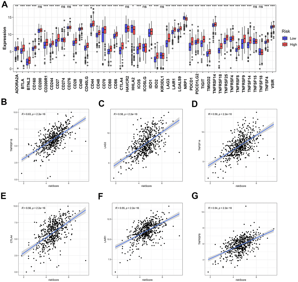 Identification of the correlation between the risk score and ICB-related genes. (A) The differential expression of ICB-related genes between the high- and low-risk groups. (B–G) The top six ICB-related genes with the most relevance to the risk score.