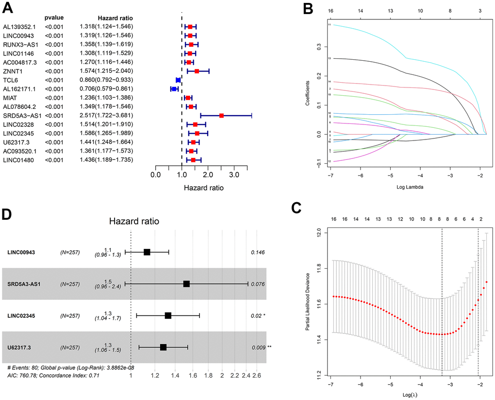 Construction of the prognostic risk model. (A) The results of the univariate Cox regression analysis of lncRNAs with p B, C) Lambda.min value = 8 was calculated using LASSO regression. (D) The results of multivariable Cox regression analysis.