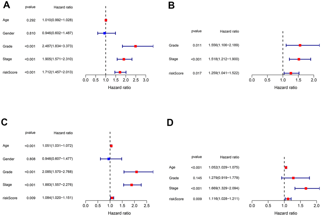 Validation of the independent prognostic factors. (A, B) Univariate and multivariate Cox regression analyses of the risk score and clinical parameters in the training cohort. (C, D) Univariate and multivariate Cox regression analyses of the risk score and clinical parameters in the testing cohort.