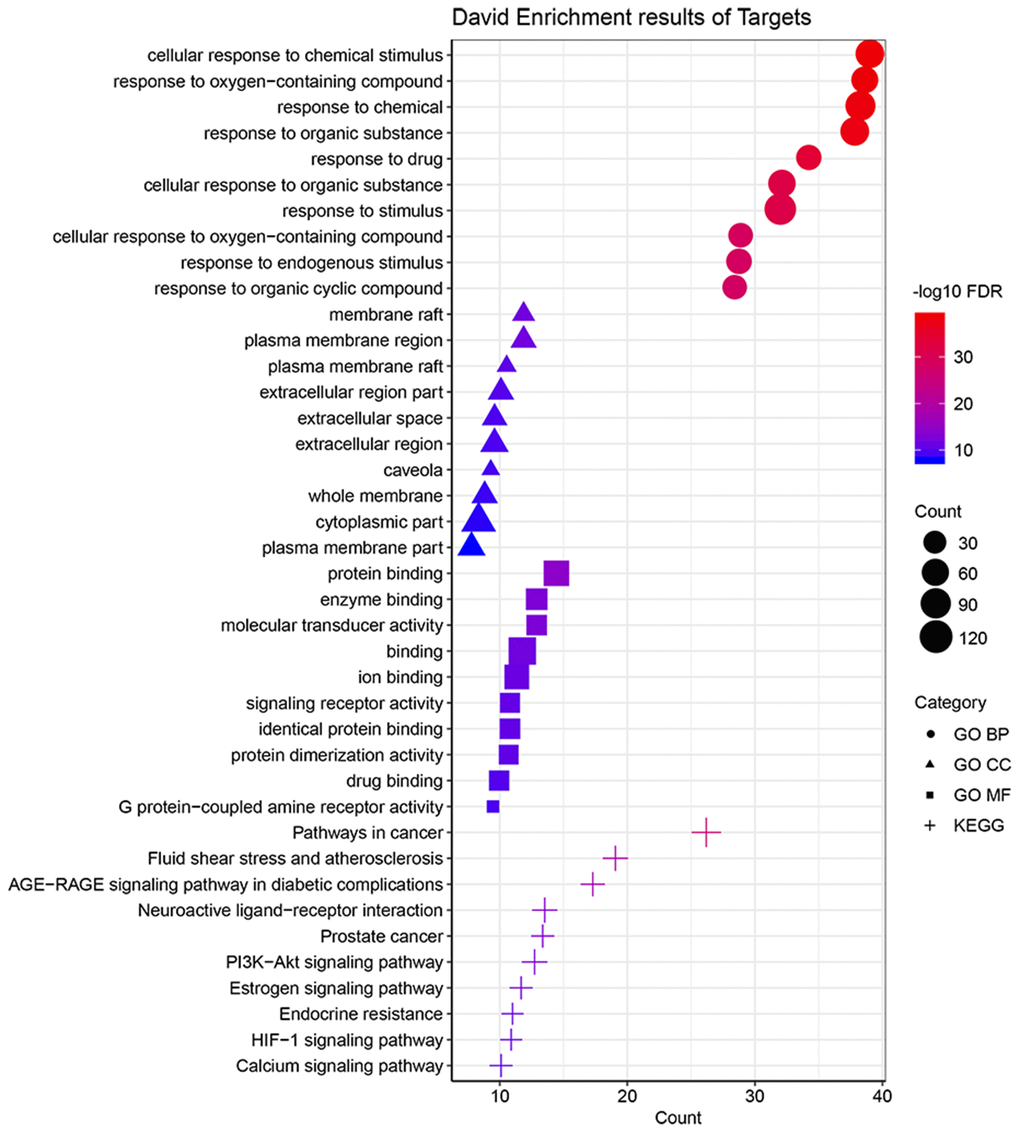 Functional analyses of target genes of Baiying Qinghou decoction. The top 10 significantly enriched GO-BP/MF/CC terms and KEGG pathways were displayed. Abbreviations: GO: Gene Ontology; KEGG: Kyoto Encyclopedia of Genes and Genomes; BP: biological process; CC: cellular component; MF: molecular function.