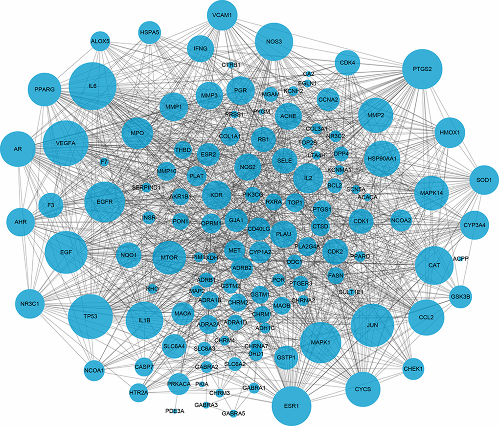 The protein-protein interaction (PPI) network of key target genes of Baiying Qinghou decoction. Dots represent target proteins/genes and the lines represents interactions among proteins/targets. The larger dot size shows the higher degree.