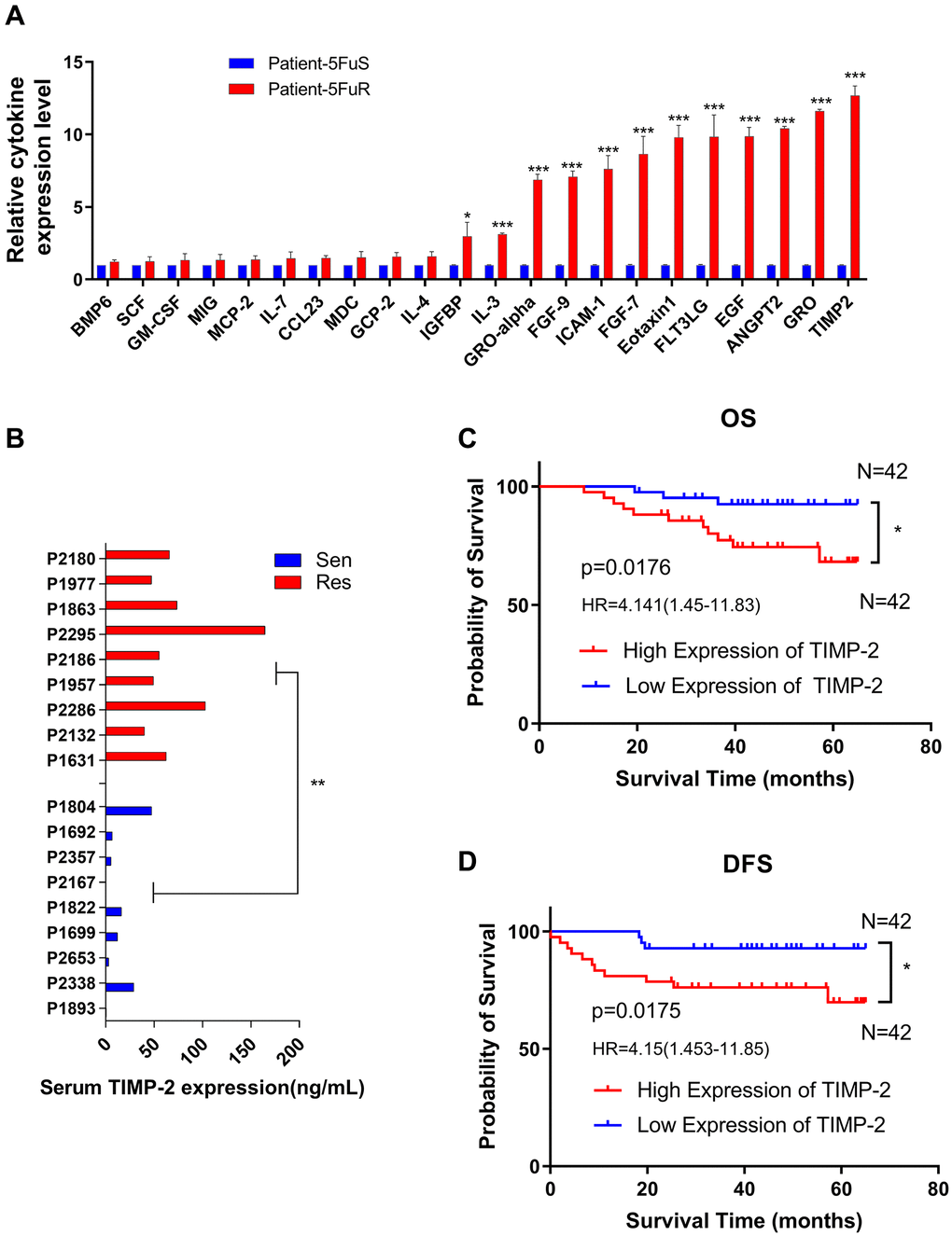 TIMP-2 is elevated in 5-Fu resistant CRC patients and predicts clinical outcomes. (A) Relative cytokine expression levels in the serum of 5-Fu sensitive and resistant patients. Patient details are shown in Table 1. Sen, sensitive patients. Res, resistant patients. (B) Differences in TIMP-2 protein expression levels in non-resistant (n = 9) and resistant patients (n = 9) with colorectal cancer. Patient details are shown in Table 2. Sen, sensitive patients. Res, resistant patients. (C) 6-year OS Kaplan–Meier survival curves for 84 colorectal cancer patients, differential grouping based on TIMP-2 expression (36.6 ng/ml) in serum. Table 3 shows patient information. (D) 6-year DFS Kaplan–Meier survival curves for 84 colorectal cancer patients, differential grouping based on TIMP-2 expression (36.6 ng/ml) in serum. Table 3 shows patient information. (A, B) *p **p ***p t-test. (C, D) *p 