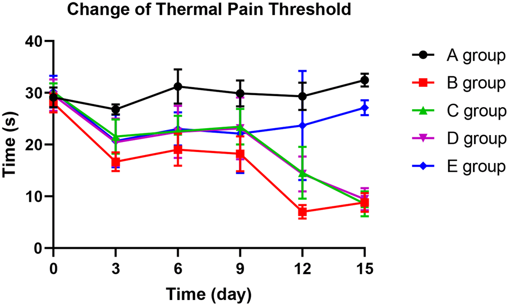 The effect of Huangqi Guizhi Wuwu Decoction on the thermal pain threshold of different rat groups.