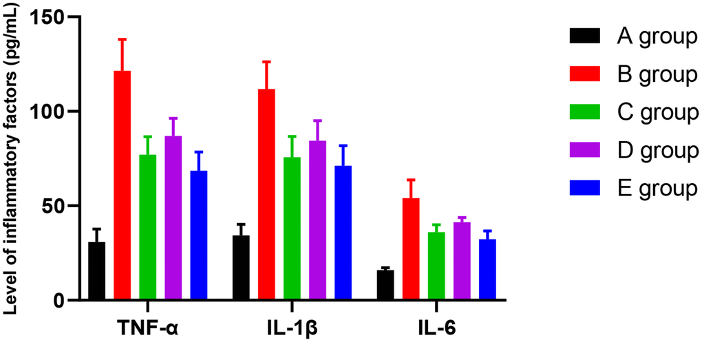 The effect of Huangqi Guizhi Wuwu Decoction on the level of TNFα, IL-1β, and IL-6 in the serum of different rat groups.